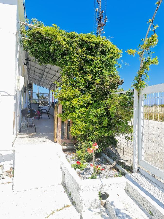 Вилла Livadi House Теологос Экстерьер фото